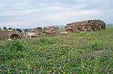 Carthage - Oued Milliane 100_6348